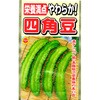 【タネ】栄養満点 やわらか! 四角豆 アタリヤ農園