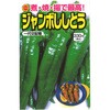 【タネ】煮・焼・揚で最高! ジャンボ ししとう 野菜 アタリヤ農園