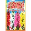 329102 【タネ】切花用金魚草 一代交配種 アタリヤ農園 13964329