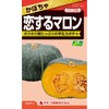 【タネ】かぼちゃ 恋するマロン カネコ種苗