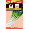 【タネ】ねぎ 白翠 カネコ種苗