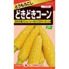 【タネ】どきどきコーン カネコ種苗