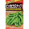 【タネ】エンドウ ピッカピカスナップ カネコ種苗
