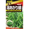 【タネ】大袋 湯あがり娘 カネコ種苗