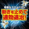 - カダンスズメバチバズーカジェット フマキラー 13967637