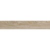M9953 w{Ebh tlX 14121235