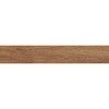 M9954 w{Ebh tlX 14121251