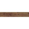 M9955 w{Ebh tlX 14121260
