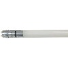 LEDv 20W F