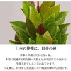4993896305525 _I̗!ꃊs[gZbg ^E__Ip _I̗ 14401436