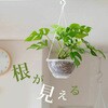 ネガミエルAIR ノーブランド