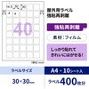 KLPH3042S 屋外用ラベル A4 強粘再剥離 ヒサゴ 14724775