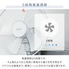 YWRX-BGD306(W) @ Ǌ| DC[^[ ㉺EU 5iK ^C}[ É YAMAZEN(RP) 14914089