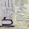 14928895,14928911,14928920