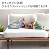 COOL-MMNB3-03 ЂuPbg mP[X 14976817