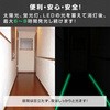 AF1505 高輝度蓄光テープ α-FLASH YAMAZEN(山善) 14980299