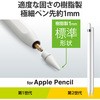 P-TIPAPS01WH py Apple Pencil 2 1p 3 1mm ɍ  GR 15016787