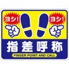 指差呼称 表示