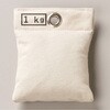 安全おもり(1kg) ナリカ