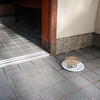 - 天然除虫菊 金鳥の渦巻 金鳥(KINCHO) 15121490