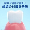 - クリニカPRO plus 歯周バリア 薬用ハミガキ ナチュラルグリーンミント LION(ライオン) 15123005