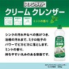 - ステンライトクリームクレンザー カネヨ石鹸 15143610