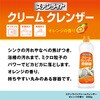 - ステンライトクリームクレンザー カネヨ石鹸 15143619