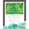- ゆららか 晴香堂(旧：オカモト産業) 15144206