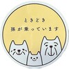 MR-05 J[pi Z[teB[TC }Olbg  ԗpi쏊 15159850