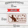 15160507