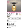 OL251677LR シーリングライト ODELIC(オーデリック) 15347790