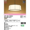 OP252393R1 y_gCg ODELIC(I[fbN) 15351825