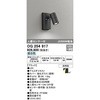 OG254917 GNXeA X|bgCg ODELIC(I[fbN) 15354266