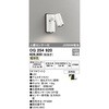 OG254920 GNXeA X|bgCg ODELIC(I[fbN) 15354300