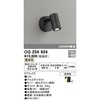 OG254924 GNXeA X|bgCg ODELIC(I[fbN) 15354336