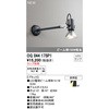 OG044175P1 GNXeA X|bgCg { ODELIC(I[fbN) 15355000