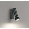 OS256521BR X|bgCg ODELIC(I[fbN) 15356734
