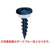 ワンダーカラービス(モドトラス ラスパートカラー サンプレーンパッキン付) ヤマヒロ
