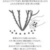 15510190,15510199,15510208