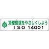 15520437,15520446