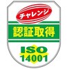 15520507