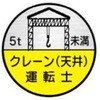 15533999,31198258,37471168