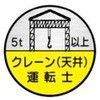 15534008