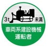 15534060