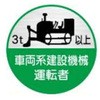 15534069