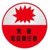 15534209