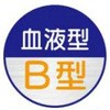 15534254