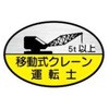 15534884