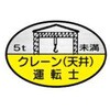15534900