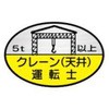 15534909
